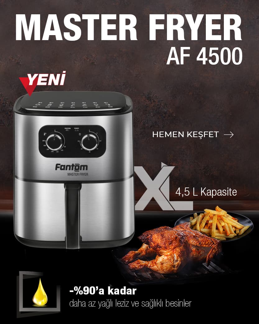 Master Fryer